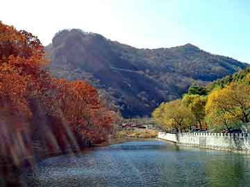 澳门天天开奖免费资料，小涛